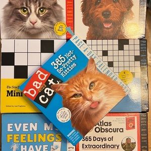 3 FOR $6 ❤️ Page-A-Day Calendar 2023 New! Desk Even My Feelings Have Feelings